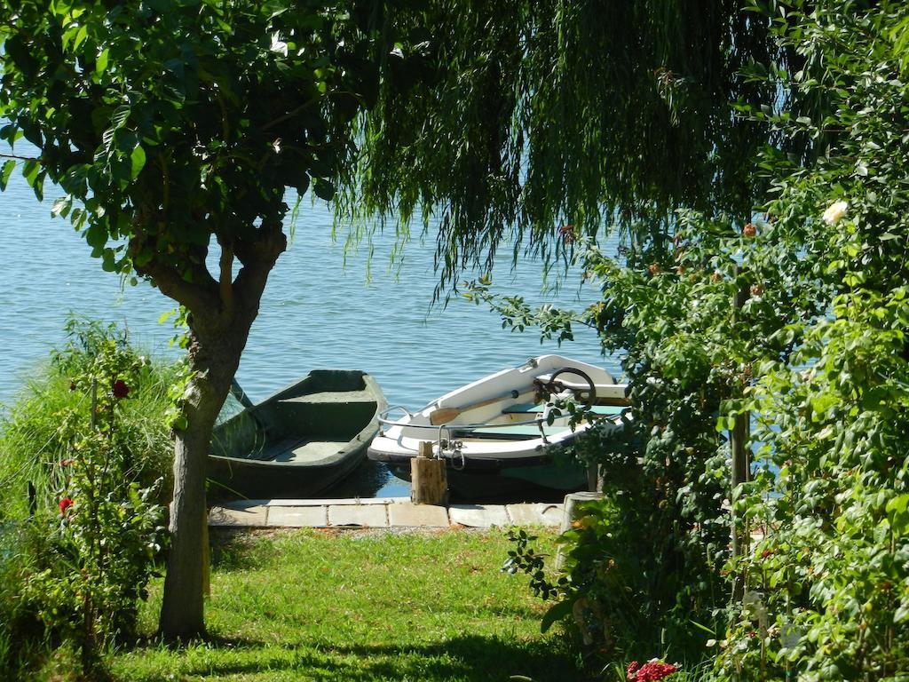 Casanonni Borgo Angeli *